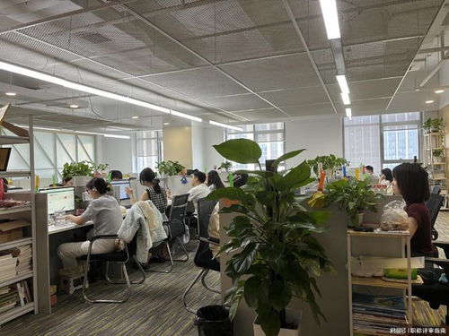 职称申报服务中的技术咨询与开发 助力专业技术人才成长