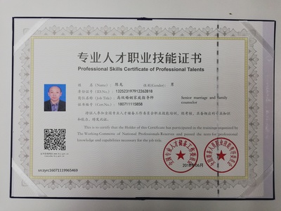 陈思危 以技术开发为刃，以技术咨询为盾的破局者